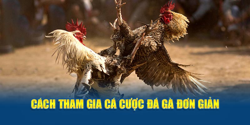 Cách tham gia đá gà cựa dao