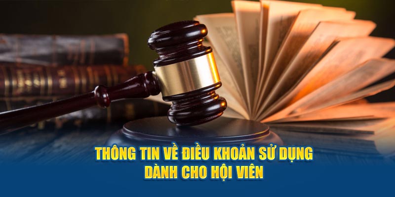 Thông tin quan trọng về điều khoản hội viên cần biết