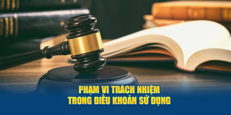 Phạm vi trách nhiệm trong điều khoản